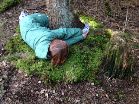 Land Art 2017