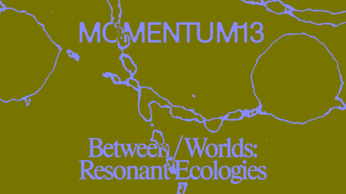 MOMEMTUM13 Webbanner3