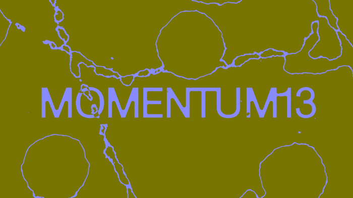 MOMENTUM13 Eflux FIN
